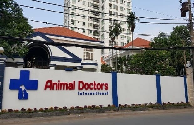 khách sạn chó mèo animal doctor