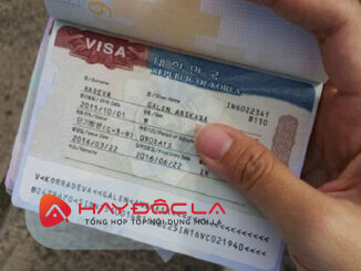 Trang Visa- Dịch vụ làm Visa tại Đà Nẵng