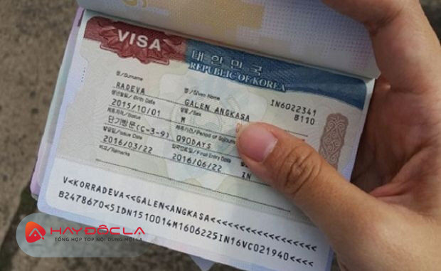 Trang Visa- Dịch vụ làm Visa tại Đà Nẵng
