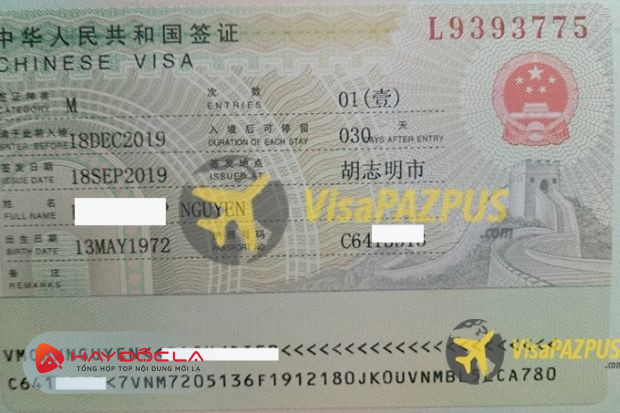 Dịch vụ làm Visa hiệu quả tại Đà Nẵng