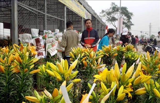 Chợ hoa tết 2021 Hà Nội đẹp Mê Linh