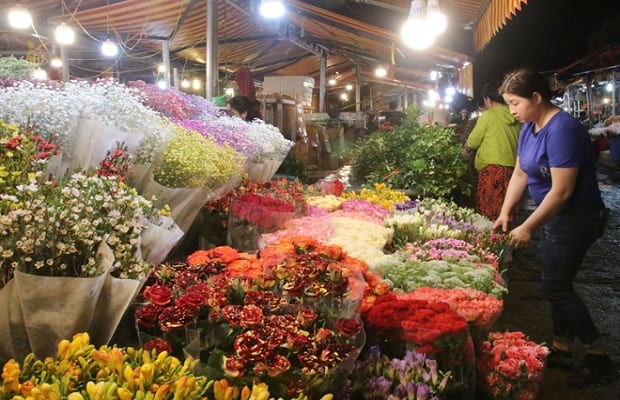 Chợ hoa tết 2021 Hà Nội -Chợ hoa Quảng An