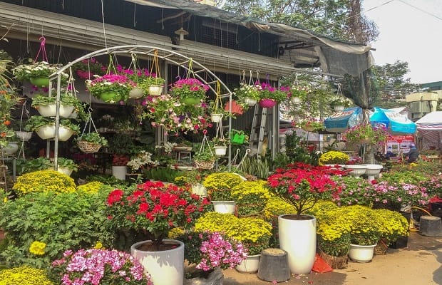 Chợ hoa tết 2021 Hà Nội đẹp Vạn Phúc