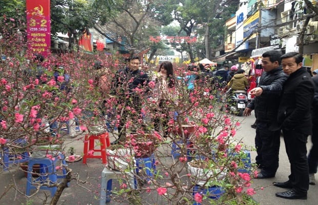 Chợ hoa tết 2021 Hà Nội đẹp - Làng hoa Hàng Lược