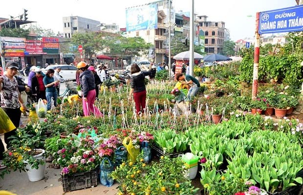 Chợ hoa tết 2021 Hà Nội đẹp Hoàng Hoa Thám