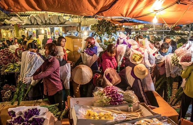 Chợ hoa tết 2021 Hà Nội đẹp Tây Tựu