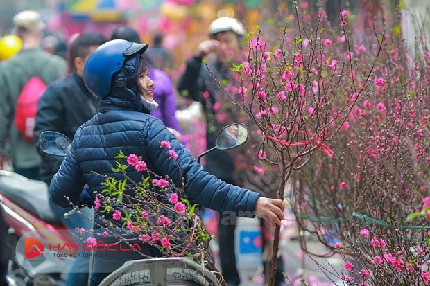 Chợ hoa tết 2024 Hà Nội - Chợ Lạc Long Quân