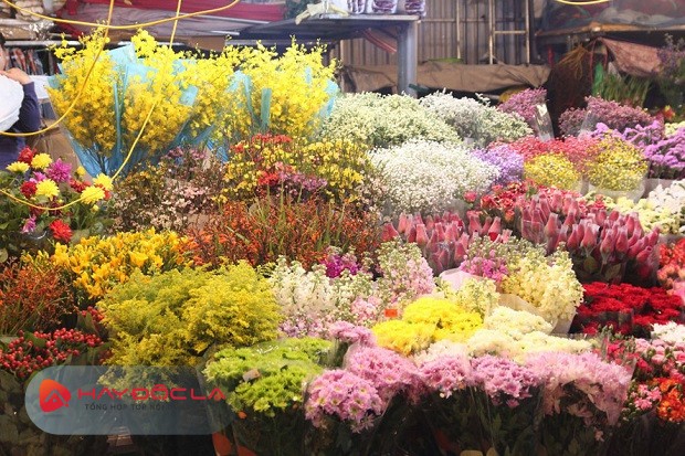 Chợ hoa tết 2024 Hà Nội - Chợ hoa đêm Tây Tựu