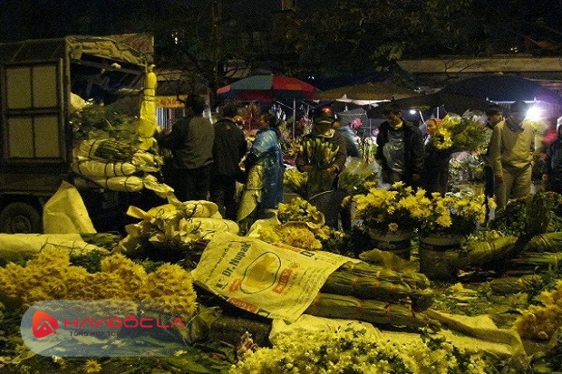 Chợ hoa tết 2024 Hà Nội - chợ hoa Nghi Tàm
