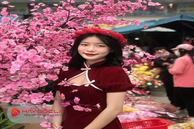 Chợ hoa tết 2024 Hà Nội - Chợ hoa Nhật Tân
