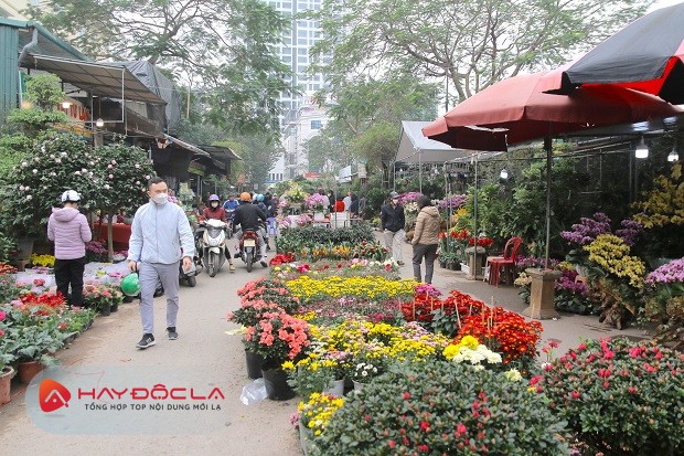 Chợ hoa tết 2024 Hà Nội - Chợ hoa Vạn Phúc