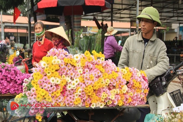 Chợ hoa tết 2024 Hà Nội - Chợ hoa Mê Linh