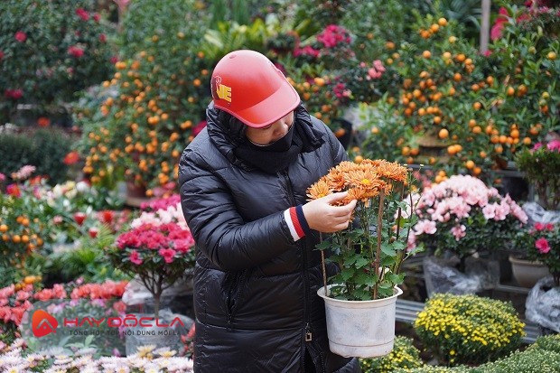 Chợ hoa tết 2024 Hà Nội - Chợ hoa Hoàng Hoa Thám