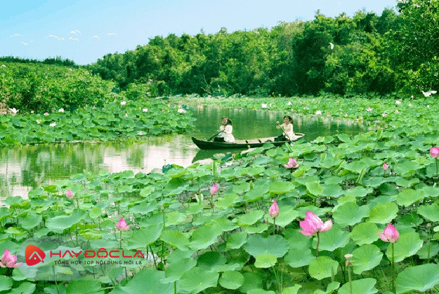 khu du lịch sinh thái ở Việt Nam - khu du lịch sinh thái Gáo Giồng Đồng Tháp 