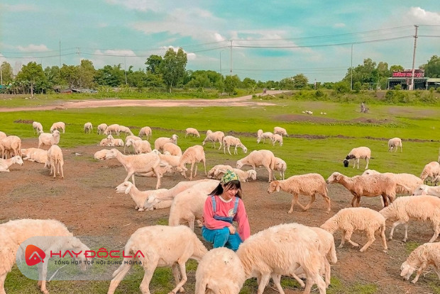 khu du lịch ở Bà Rịa Vũng Tàu - Đồng cừu Suối Nghệ