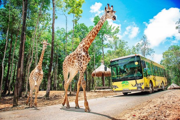 Vườn Quốc Gia Phú Quốc ngôi nhà của hàng ngàn động vật hoang dã được bảo tồn