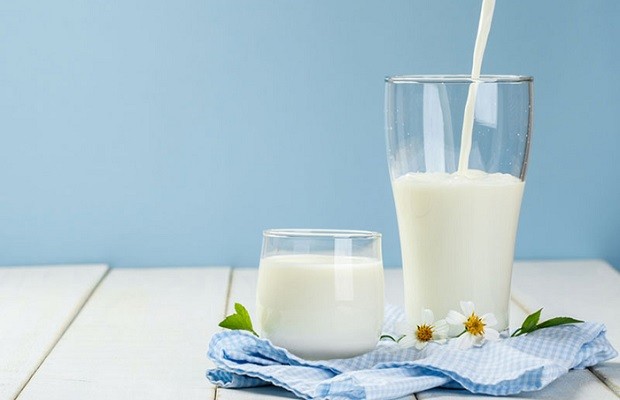 Món ăn tốt cho thai nhi 3 tháng đầu sữa là thành phần quan trọng