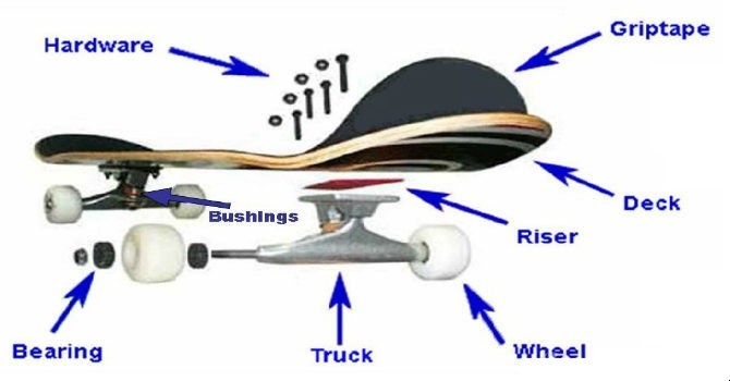 cấu tạo của ván trượt skateboard TP. HCM