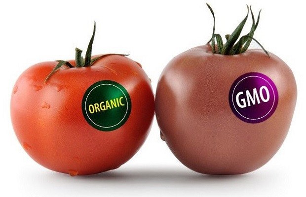 gmo là gì - Phân biệt thực phẩm biến đổi gen