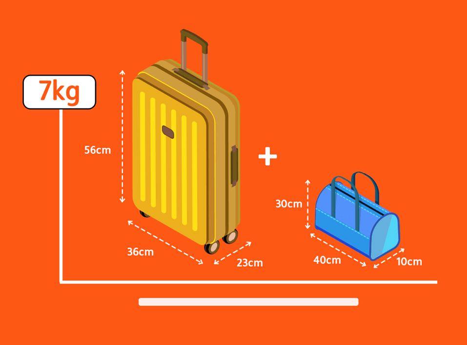 7kg hành lý xách tay có bao gồm túi xách không-hành lý xách tay là gì?