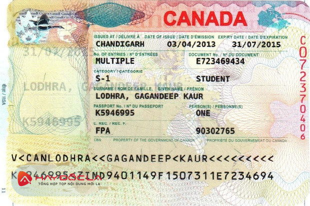 Các loại visa Canada phổ biến nhất
