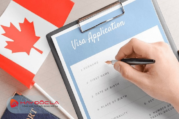 Các loại visa Canada thu hút nhiều người lao động