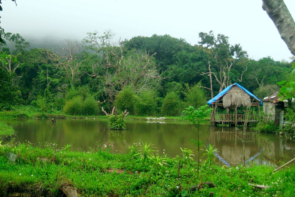 Các khu du lịch sinh thái ở Đà Nẵng-Khu du lịch sinh thái Nhất Lâm Thủy Trang Trà