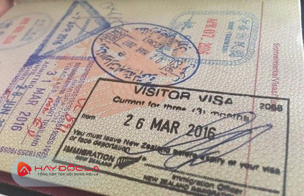 định cư dạng đầu tư- các loại visa New Zealand