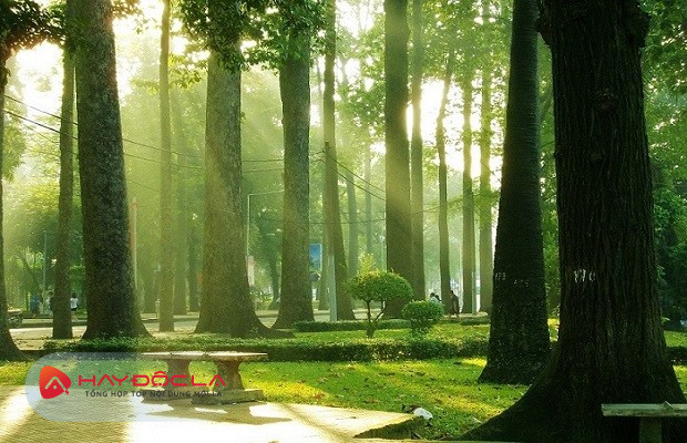 Địa điểm check in Sài Gòn - Công viên Tao Đàn
