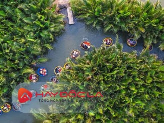 địa điểm du lịch Hội An - Rừng dừa Bảy Mẫu