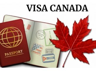 top dịch vụ làm visa canada tại hà nội