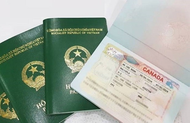 dịch vụ làm visa canada tại Hà Nội chính xác