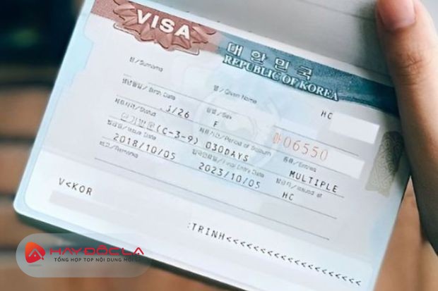 dịch vụ visa hàn quốc tại tp hcm - giấy tờ chuyến đi