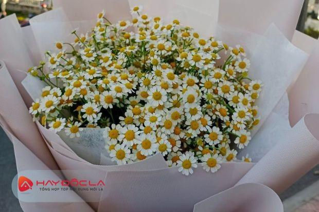 Hoa Tươi Cẩm Vân - địa chỉ bán hoa Valentine ở Đà Lạt