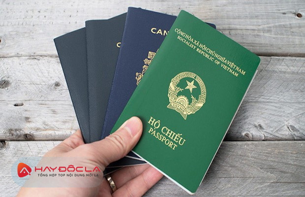 dịch vụ làm giấy miễn thị thực tại đà nẵng - Kế toán Anpha