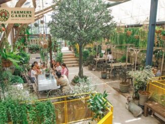 Quán cafe san vườn đẹp ở quận 3 nổi nhất Sài Gòn