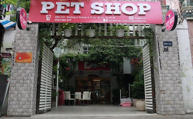 Shop bán cho pitbull - Dogily