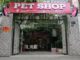 Shop bán cho pitbull - Dogily