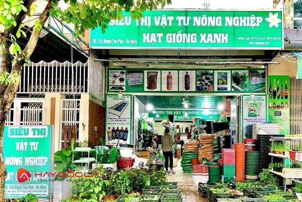 Dịch vụ trồng rau sạch tại nhà Đà Nẵng tiện lợi
