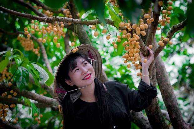 Địa điểm du lịch Tây Ninh - Vườn trái cây Gò Chùa
