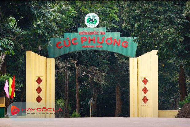 Cúc Phương địa điểm check in Ninh Bình