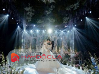 dịch vụ trang trí tiệc cưới Hà Nội- WEDINSTYLE