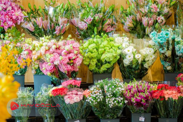 Thế giới hoa tươi shop bán hoa tươi TPHCM