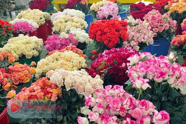 shop bán hoa tươi TPHCM - FLOWER BOX
