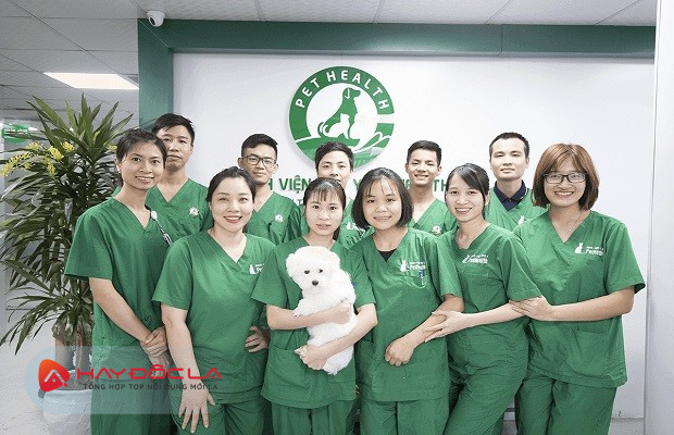 Dịch vụ thú cưng Hà Nội - Bệnh viện thú y Pethealth