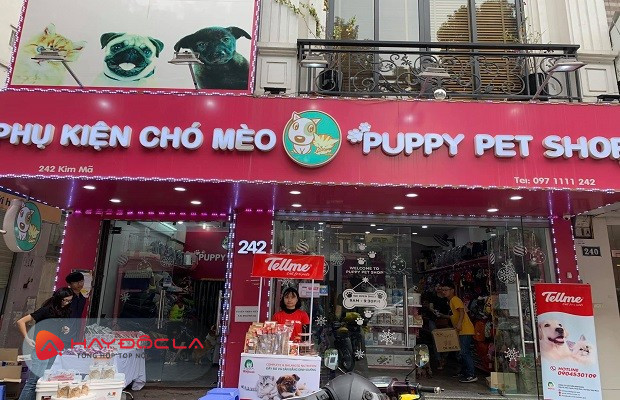 Dịch vụ thú cưng Hà Nội - Puppy Pet Shop