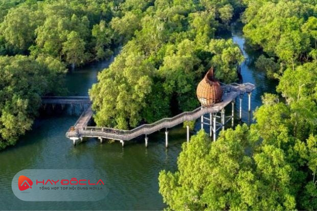 Khu bảo tồn ngập mặn Sungei Buloh - các điểm du lịch Singapore