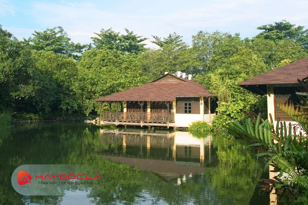 Khu bảo tồn ngập mặn Sungei Buloh - các điểm du lịch Singapore