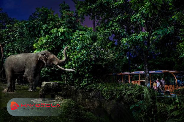 Night Safari- các điểm du lịch Singapore