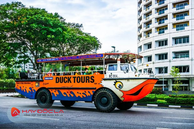 Duck & Hippo - các điểm du lịch Singapore